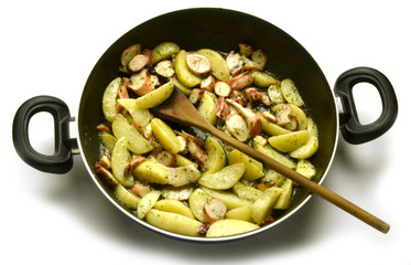 Octopus vulgaris Obična hobotnica Polipo Gewöhnlicher Chobotnice 왜문어 pobřežní potato Polipi Pulpo Krake 普通章魚 patata Pieuvre Ośmiornica zwyczajna  © Comugnero Silvana