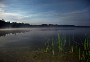 a night landscape with green reeds on a misty lake