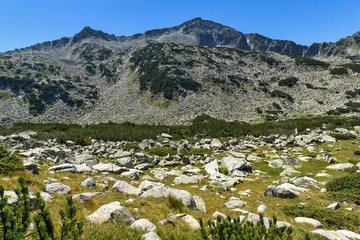 Fototapeta na wymiar Landscape with Banderishki Chukar Peak, Pirin Mountain, Bulgaria
