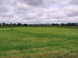  summer countryside morning,Northern Ireland