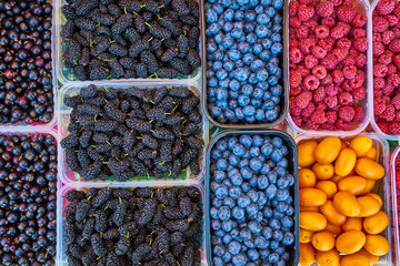 Baskets of berries in a market. mixed berries. bio colorful berries