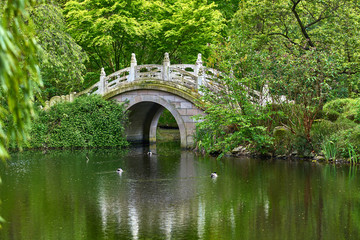 Fototapeta premium Bridge in the garden. Beautiful bridge