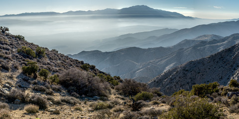 Misty Mountain Valley