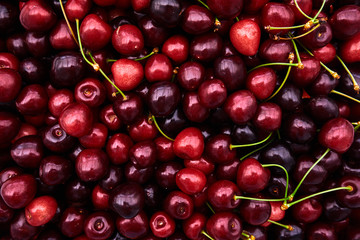 Cherries background. Sweet red cherries