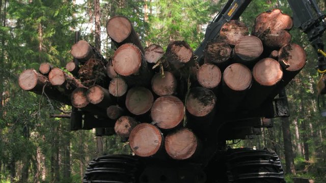 A machine for the collection of timber