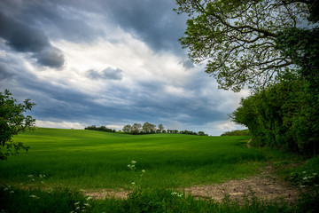 Fototapeta na wymiar Green meadow with dramatic sky