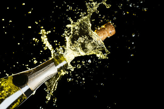 Celebration theme with explosion of splashing champagne sparkling wine on black background.