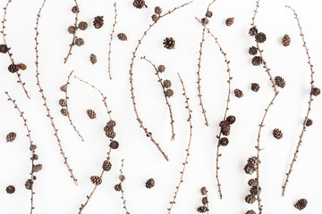Fototapeta premium Pattern made of larch branches on white background. Flat lay, top view