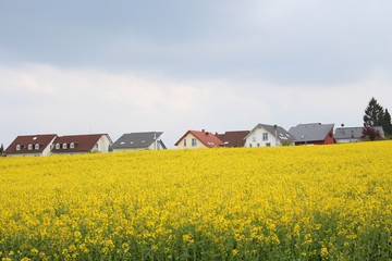 View of many houses.