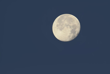 The moon close up view. Craters visible