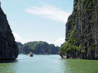 Ha long bay cliffs and cliff edge with green tree forest