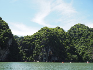 Green tree forest continuous cliffs beside the sea in Ha long bay, Vietnam