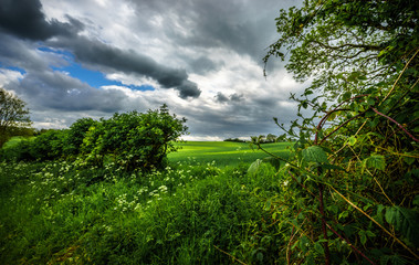 Obraz premium Green meadow with dramatic sky