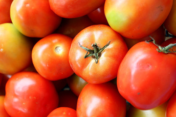 pile of red tomatoes