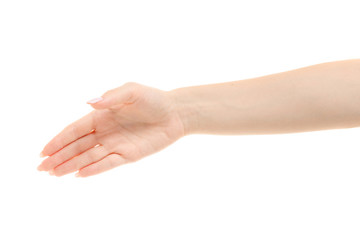 Female hand handshake