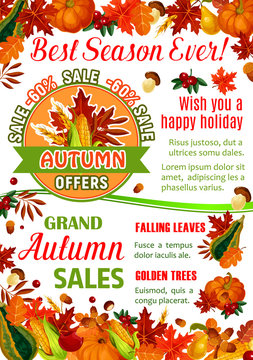 Autumn sale banner of fall season nature template