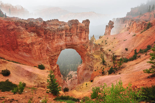 Natural Bridge in Bryce Canyon National Park in Utah, USA