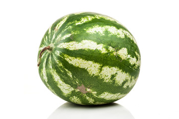 watermelon standing isolated on white background
