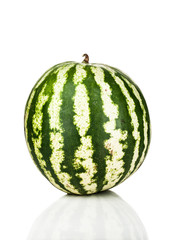 watermelon standing isolated on white background