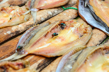 Fish dried by sunlight.