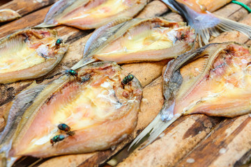 Fish dried by sunlight.