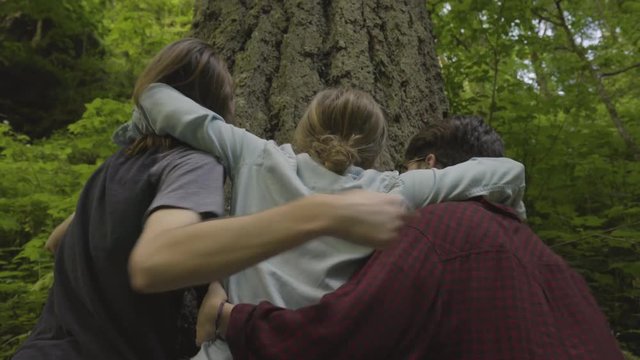 Woman Hugs Giant Tree In Temperate Rainforest, Her Friends Run Into Frame And Join Her