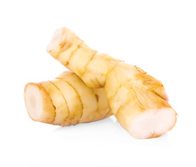 Greater galangal isolated on the white background.