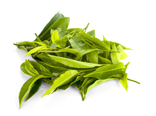 green tea leaf isolated on white background