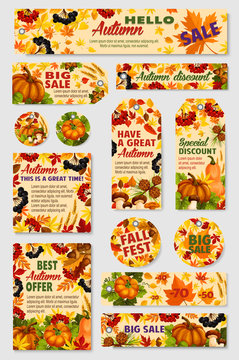Autumn sale tag, discount offer label and card set