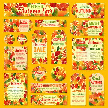 Autumn sale tag and label set with fall leaf