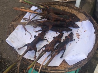 cooked rats