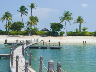 Tropical white sandy beach with palm trees