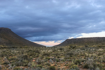 Karoo National Park - South Africa