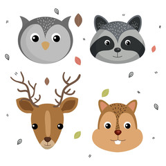 cute wild animal nature fauna set image vector illustration