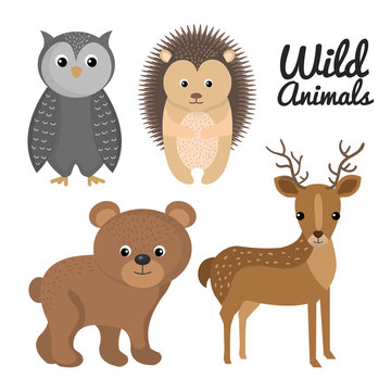 cute wild animal nature fauna set image vector illustration
