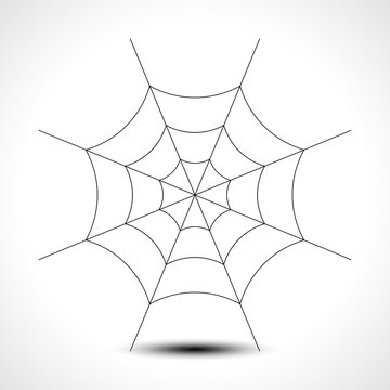 Spider web isolated on white background. Vector illustration