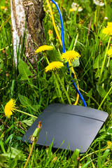 wireless router, yellow and blue ethernet cables