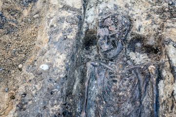 Archaeological excavation with skeletons and skulls