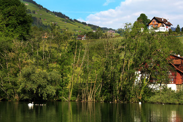 Fototapeta na wymiar lake in switzerland