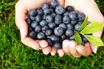 Female hands with blueberries on a green background