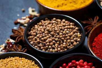 aromatic oriental spices in assortment on dark background, closeup