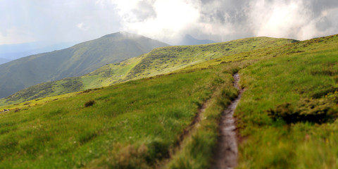  Mountain trekking, a walk in the mountains, trekking in the mountains