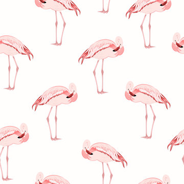 Beautiful exotic pink flamingo wading bird standing posture. Seamless pattern on white background. Vector design illustration for fashion, textile, fabric, decoration.