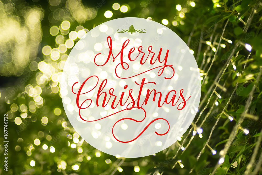Poster merry christmas word and xmas tree icon on at blurred background of green tree decoration with light