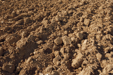 Soil texture background