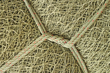 Fishing net with rope
