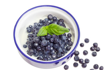 Blueberry dessert with sweetened condensed milk close-up