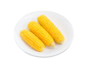 Boiled ears of sweet corn on a white dish