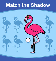 Find the correct shadow, game for kids - flamingo