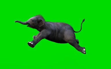 Baby Elephant Moving and Jumping On Green Background, 3d Illustration